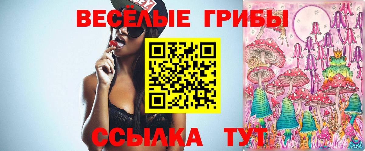 Псилоцибиновые грибы мухоморы  Вход с VPN  Псилоцибиновые грибы GOLDEN TEACHER  Сертолово 