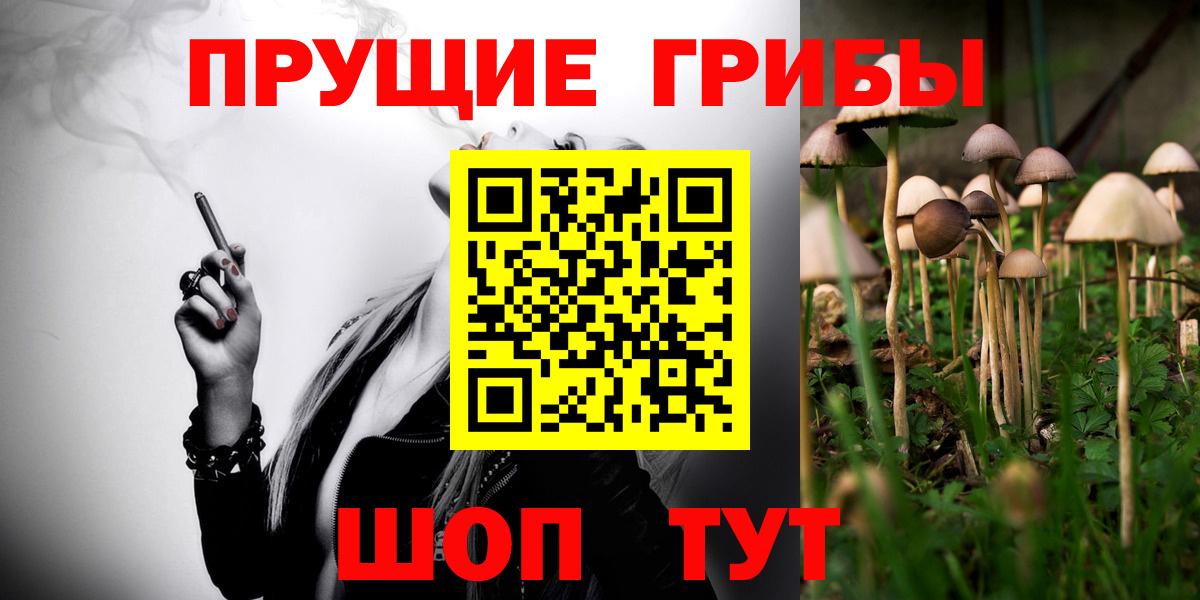 Псилоцибиновые грибы ЛСД Сертолово